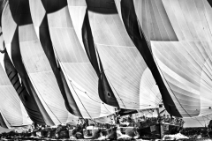 Carlo-Borlenghi_5-A-s