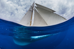 MARISKA, Sail n: D1, Owner: Christian Niels, Boat Type: 15 Metre
