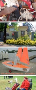 Pallás Éva (1953-2013)